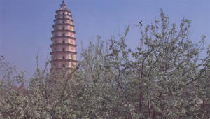定州塔